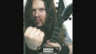 Dimebag Darrel  Snowblind [upl. by Ahsiekrats]