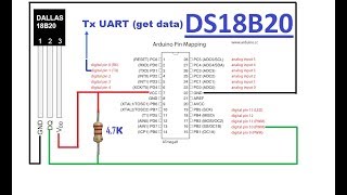 DS18B20 Temperature Sensor [upl. by Aynav]