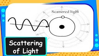 Physics  Scattering of Light  Human Eye and Colourful World  Part 11  English [upl. by Anyak]