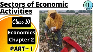 Sectors of Economic Activities  Sectors of the Indian Economy  Class 10 Economics Chapter 2 CBSE [upl. by Rotman]