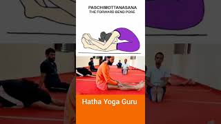 how to do paschimottanasana ll Hatha yoga guru [upl. by Larrisa]