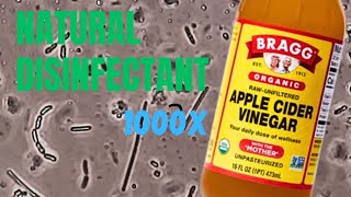 Vinegar vs Bacteria under the Microscope  The Ultimate Cleaning Product [upl. by Dnallor]