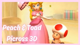 Picross 3D  Peach amp Toad [upl. by Eirret385]