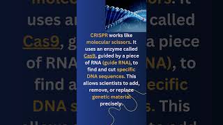 What is CRISPR crisprcas9 geneediting biotechnology geneticengineering [upl. by Atnoled]