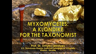 Myxomycetes a Klondike for the taxonomist [upl. by Yesllek]