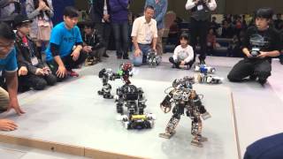 Korea International Robot Contest 2014  Rumble [upl. by Clerk984]