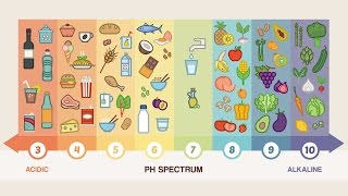 Top 10 Alkaline Foods You Should Be Eating Everyday [upl. by Alyn865]