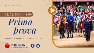 La Prima prova per il Palio di Siena del 2 luglio 2024  SOGNO PALIO [upl. by Ojyram]