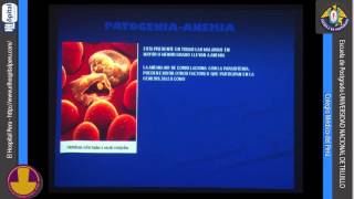 MEDICINA INTERNA 64 Malaria [upl. by Vareck]