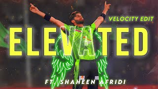 Elavated Ft Shaheen Afridi💚 ● Shaheen Afridi Edit😍 ● [upl. by Lirbij]