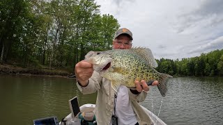 I CAUGHT My PB Crappie at Westbranch Reservoir fishing fish crappie crappiefishing [upl. by Llirrehs]