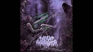 Infant Annihilator  Unholy Gravebirth audio HD [upl. by Eachern]