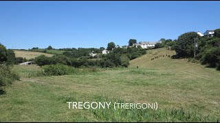 Our Beautiful Area Tregony [upl. by Shir981]