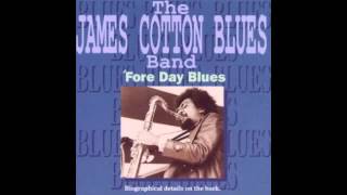 James Cotton  Off The Wall Little Walter [upl. by Hebe196]