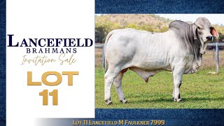 Lot 11 Lancefield M Faulkner 7999 [upl. by Smeaj]