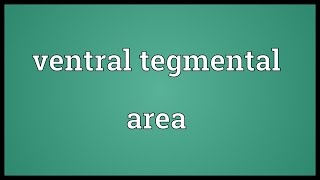 Ventral tegmental area Meaning [upl. by Irrok]