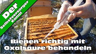 Bienen richtig mit Oxalsaeure gegen Varroamilben behandeln [upl. by Otilopih]