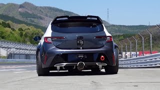 Hydrogen Cars sound better than EVs [upl. by Enelez456]