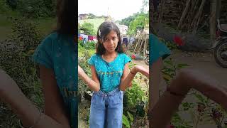 Sher kisi se darta hai  comedy funny [upl. by Irallih]