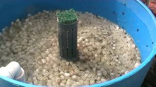 DIY Homemade Pond Filter That Works by Tel Part 2 Cleaning The Filters [upl. by Vaasta834]