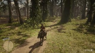 Red Dead Redemption 2  RDR2  REDDISH EGRET  LOCATION  ZOOLOGIST 57  SKIN DEEP [upl. by Galer]