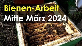 BienenArbeit Mitte März 2024 Erweitern Einengen Leerzargen [upl. by Sorci938]