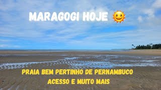 Praia em Maragogi Alagoas pertinho de Pernambuco é um espetáculo da natureza 😱😱 [upl. by Tychonn]