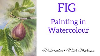 FIG Painting fig in watercolour watercolorpainting watercolour tutorial [upl. by Petronella]