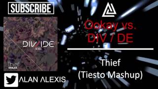 Ookay vs DIV  IDE  Thief Tiesto Mashup [upl. by Ytissahc]