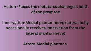 Lower limb 🦵 muscles  easy to learn [upl. by Neurath]