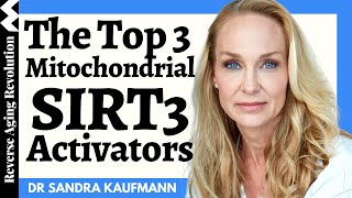 3 WAYS To Save Our Mitochondria amp TOP 3 Natural SIRT3 Activators  Dr Sandra Kaufmann Interview Clip [upl. by Marylou]