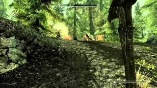 Treasure Map 1 I  The Elder Scrolls V Skyrim Guide  Where to find [upl. by Gunas]