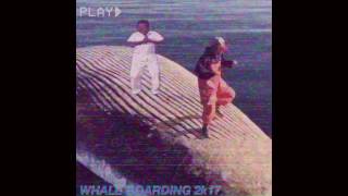 HUNNID DOLLA  MADEINTYO WHALE BOARDING 2K17 [upl. by Trula]