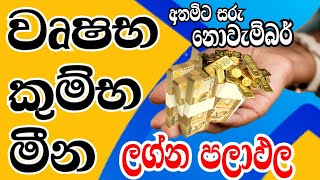 ලග්න පලාඵල  World Prediction astrology  November horoscope predictions  2023 Monthly horoscope [upl. by Eleonora]