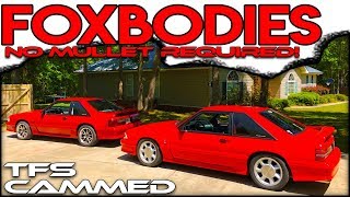 👀THIS CAMMED 93 COBRA HITS HARD amp A GHOST CAMMED 89 FOXBODY [upl. by Idden]