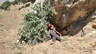 The second womens resistance to survive her sick husband in the mountains building a shelter [upl. by Eesdnyl392]