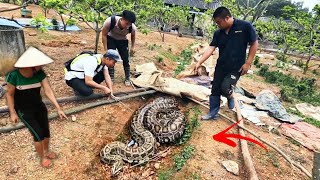 Brave Hunter Kill 2 Giant Snakes Crawling Into Residential Area  Fishing TV [upl. by Elleb]