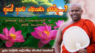 අනේ අපට මොනවා වෙයිද  Ananda maha theranuwo  වැලිමඩ සද්දාසීල හිමි [upl. by Elrem]