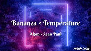 Akon × Sean Paul  Bananza Belly Dancer × Temperature 【Lyrics】 [upl. by Brannon]