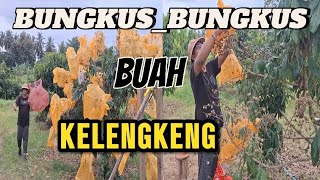 BUNGKUS BUAH KELENGKENG YUK [upl. by Natalia416]