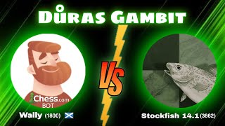 Důras Gambit The Worst Opening Can Stockfish Survive Chesscom Bot Wally vs Stockfish 141 [upl. by Letnuahc544]