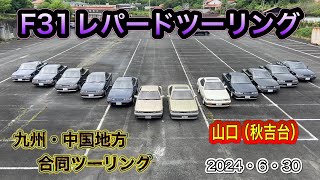 F31レパード 九州・中国組合同ツーリング（山口県秋吉台） [upl. by Friedly]