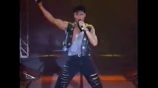 Chayanne  Concierto Tour Provócame 1992 [upl. by Atat599]