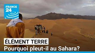 Il pleut au Sahara  Une conséquence du réchauffement climatique • FRANCE 24 [upl. by Gnous]