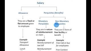 What are allowances and perquisites [upl. by Arimas]