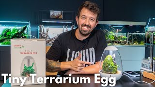 Chihiros Tiny Terrarium Egg  Wabikusa einrichten [upl. by Anuaek337]