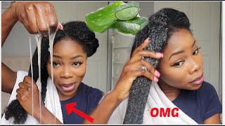 3 WAYS TO USE ALOE VERA FOR MASSIVE HAIR GROWTH  Aloe vera oil Prepoo amp Detangler  UPDATE [upl. by Rysler]