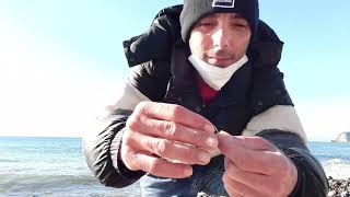 Pesca al sarago con gamberetto e attrezzatura da spinning ultralight Pesca con mare mosso [upl. by Ahsienod]