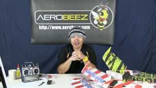 Aerobeez Stinger Flying Wing Build Review Part 1 Introduction and First Look [upl. by Stoneman81]