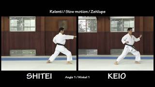 Kanku Sho KATA  ORIGINAL vs SHITEI [upl. by Uzial]